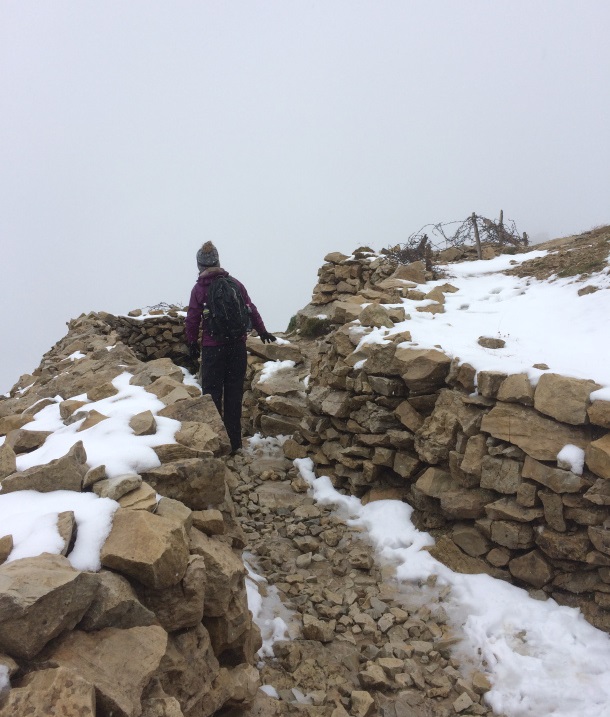 0123c444-efed-48a2-8cb2-f699a4a3ef34.jpg._CB284965954_