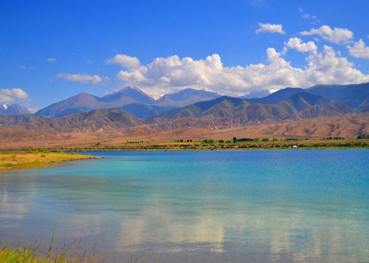 143174000085212041046005170081249109098224082197